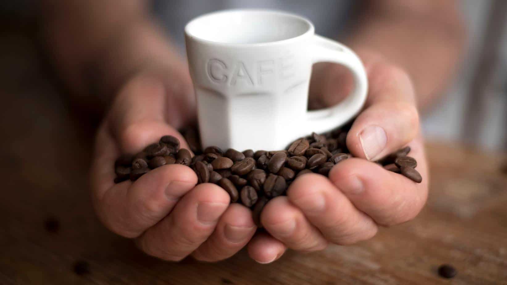 Handing a white coffe cup and coffee beans in the hands