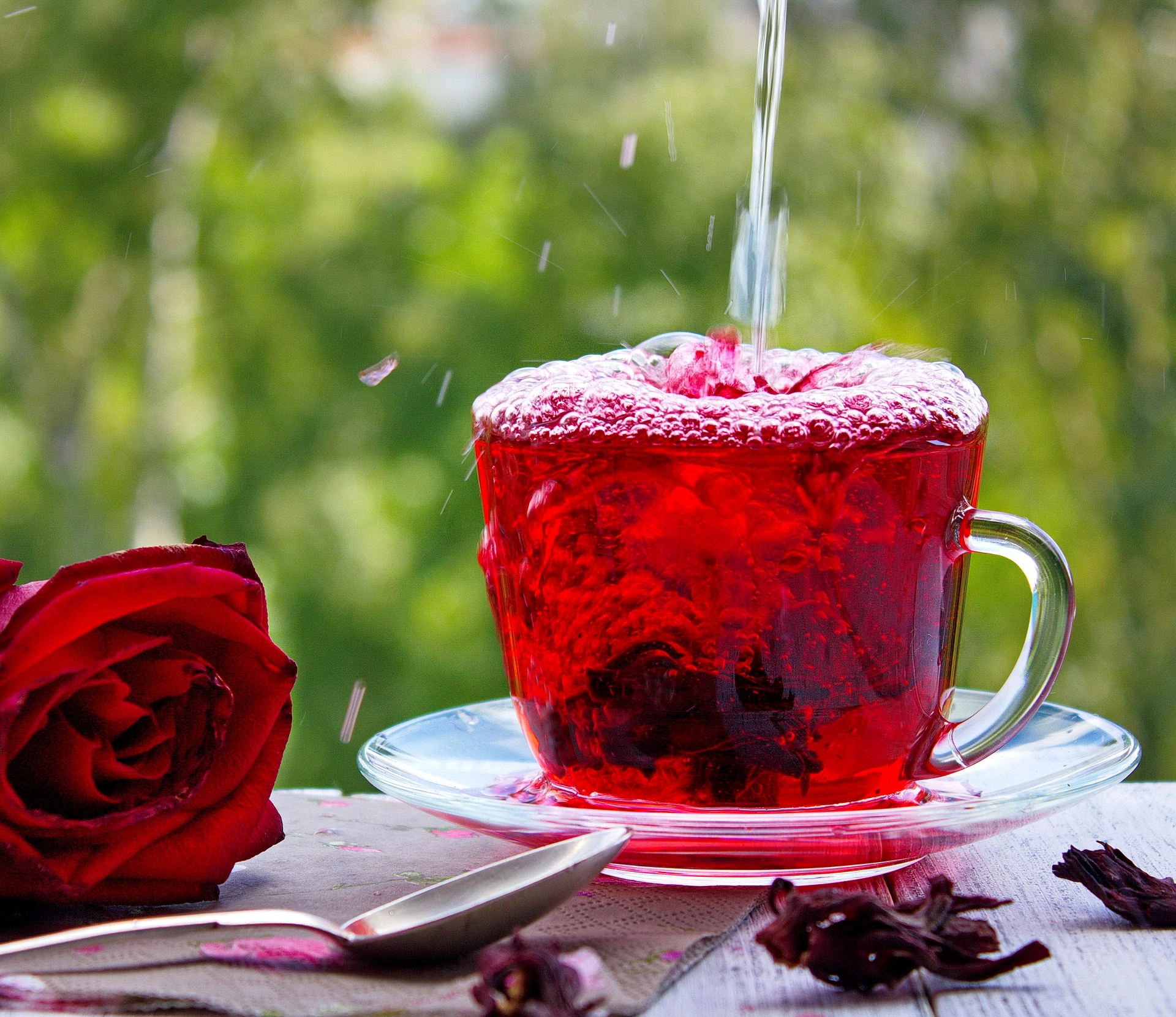 شاي الكركديه يُسكب على وردة.
