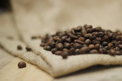 مزارع القهوة البرازيلية